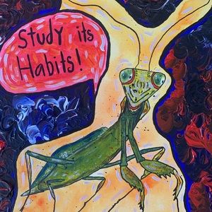 Meet your Posher, Amelia